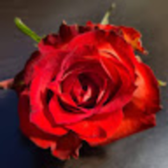 Meet your Posher, Nat - Picture 1 of 1